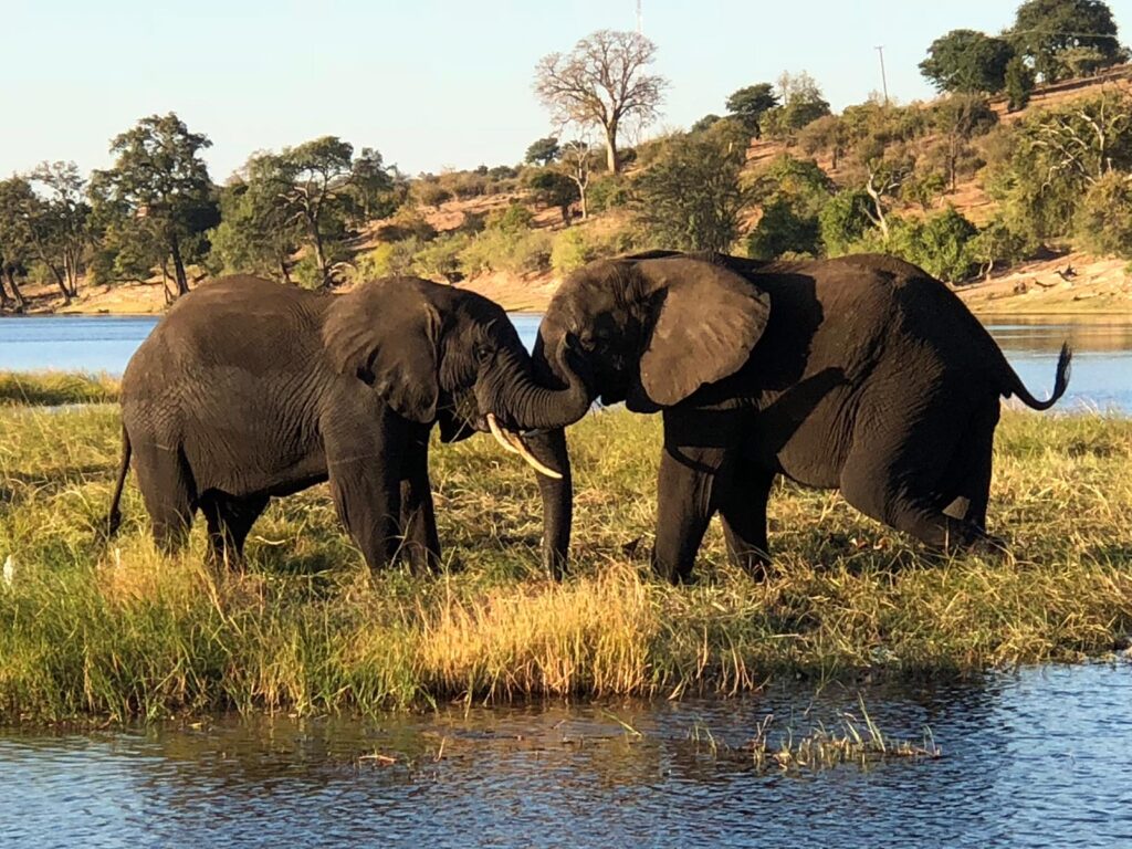 CHOBE NATIONAL PARK