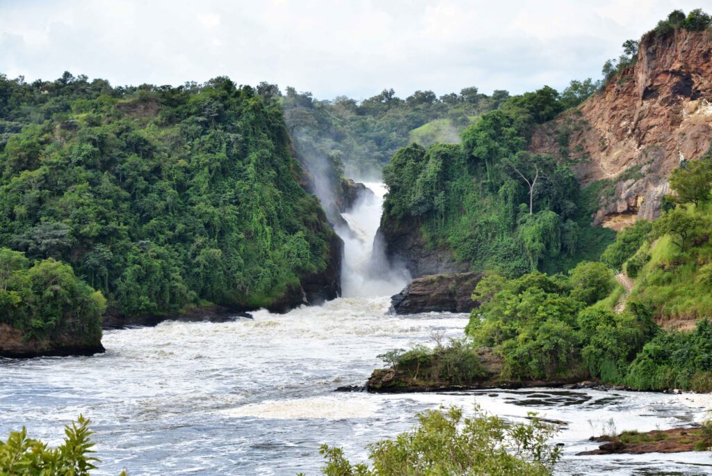 3 DAYS MURCHISON FALLS SAFARI